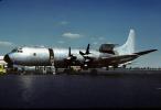 N5504, Lockheed L-188A Electra, Zantop International Airlines, TACV04P08_14