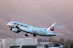 JA832J, Boeing 787-846, Japan Airlines JAL, SFO, 787-8 series, Taking-off, GEnx-1B64, Paintography, Abstract