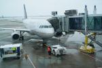 N829UA, Airbus A319-131, A319 series, V2500, Pushback Tug, tow tractor