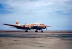 OB-PAP-148, Faucett Airlines, Douglas DC-4, 41-148, 1950s, TAFV01P01_07