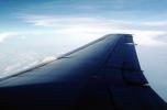 Lone Wing in Flight, TAFV05P04_02