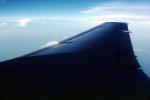 Lone Wing in Flight, TAFV05P04_03