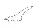 Concorde outline, line drawing, shape, TAFV07P05_19O