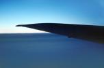 lone Wing in Flight, TAFV08P08_14