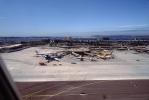 Terminals, Boeing 737, SWA, Lindbergh Field, Point Loma, TAFV10P12_02