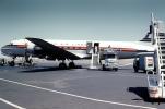 JA6201, Japan Air Lines JAL, Douglas, DC-6B, Wake Island Airfield AWK, Airport, 1950s, TAFV11P13_10
