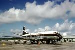 Vickers Viscount V.702, VP-TBN, Grand Cayman Airport (GCM), Owen Roberts International Airport