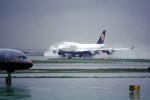 D-ABVL, Boeing 747-430, Lufthansa (SFO), rain, inclement weather, wet