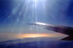 Lone Wing in Flight, California, flying, sunset