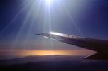 Lone Wing in Flight, California, flight, flying, sunset