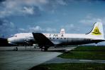 OD-ADK, TMA of Lebanon, Douglas DC-4-1009, 1950s, TAFV19P03_14.0361