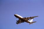 Boeing 747-400 landing, flying, flight, airborne, TAFV21P06_11