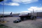 United Airlines UAL, Boeing 777, Jetway, Airbridge, TAFV21P13_01