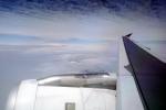 CFM56 jet, wing fence, Airbus A320 series, Lone Wing in Flight