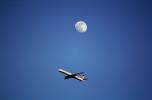 Boeing 757, flying under the Moon, airborne