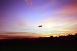 Sunset, flying, airborne, TAFV22P05_11