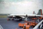 American Airlines AAL, Douglas DC-6, 1950s, TAFV24P13_06