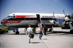 Lockheed L-188 Electra, Braniff International Airways, passengers boarding, 1970s, TAFV25P06_08