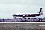 N5535, Lockheed L-188A Electra, Eastern Airlines EAL, Landing