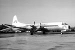 N183H, AFA, Lockheed L-188C Electra, Camouflage, mimic, leaf, butterfly, TAFV25P07_04