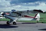 C-GRKH, Piper PA-18-150, TAGV03P03_05