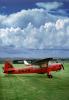 G-AJEB, Auster J1N, Edinburgh Flying Club