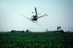 Crop Dusting, Aerial Spraying, Pesticide, Hiller UH-12, Central Valley, TAHV01P11_16