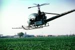 Crop Dusting, Aerial Spraying, Pesticide, Hiller UH-12, Central Valley, TAHV01P11_19