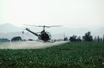 Crop Dusting, Aerial Spraying, Pesticide, Hiller UH-12, Central Valley, sprayer, TAHV01P12_03