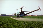 Crop Dusting, Aerial Spraying, Pesticide, Hiller UH-12, Central Valley, sprayer, TAHV01P12_04