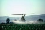 Crop Dusting, Aerial Spraying, Pesticide, Hiller UH-12, Central Valley, sprayer, TAHV01P12_08