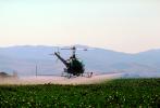 Crop Dusting, Aerial Spraying, Pesticide, Hiller UH-12, Central Valley, sprayer, TAHV01P12_10