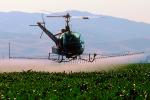 Crop Dusting, Aerial Spraying, Pesticide, Hiller UH-12, Central Valley, sprayer, TAHV01P12_10B