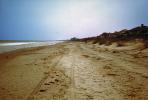 Beach, Sand, Wright Brothers Site, TARV01P01_06