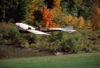 monoplane landing, Airborne, Flight, Flying 