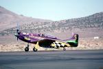 P-51 Racer, Racing, Raceplane