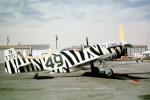 N335J, Zebra 49, Raceplane, TASV03P09_02