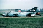 Dead F-4 Phantom, TAZV01P03_19