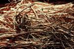 Bundles of Bare Copper Wire, TEDV01P14_15