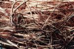 Bundles of Bare Copper Wire, TEDV01P14_18