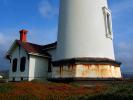 Pigeon Point Lighthouse, California, Pacific Ocean, West Coast, TLHD01_026