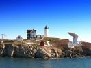 Cape Neddick Lighthouse, Maine, Atlantic Ocean, Eastern Seaboard, East Coast, TLHD03_241