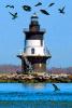 Orient Point Lighthouse, Long Island, New York State, Atlantic Ocean, Eastern Seaboard, East Coast, TLHD05_028B