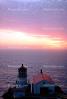 Point Reyes Lighthouse, California, West Coast, Pacific Ocean, TLHV01P02_18.1714
