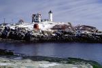 Cape Neddick Lighthouse, Maine, East Coast, Eastern Seaboard