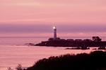 Pigeon Point Lighthouse, California, Pacific Ocean, West Coast, TLHV02P05_02