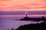 Pigeon Point Lighthouse, California, Pacific Ocean, West Coast, TLHV02P05_07