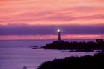 Pigeon Point Lighthouse, California, Pacific Ocean, West Coast, TLHV02P05_08