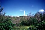 Gibbs Hill Lighthouse, Hamilton, Bermuda, TLHV02P15_15