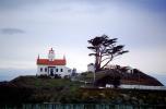 Battery Point Lighthouse, Crescent City, Del Norte County, California, West Coast, Pacific Ocean, TLHV03P09_01